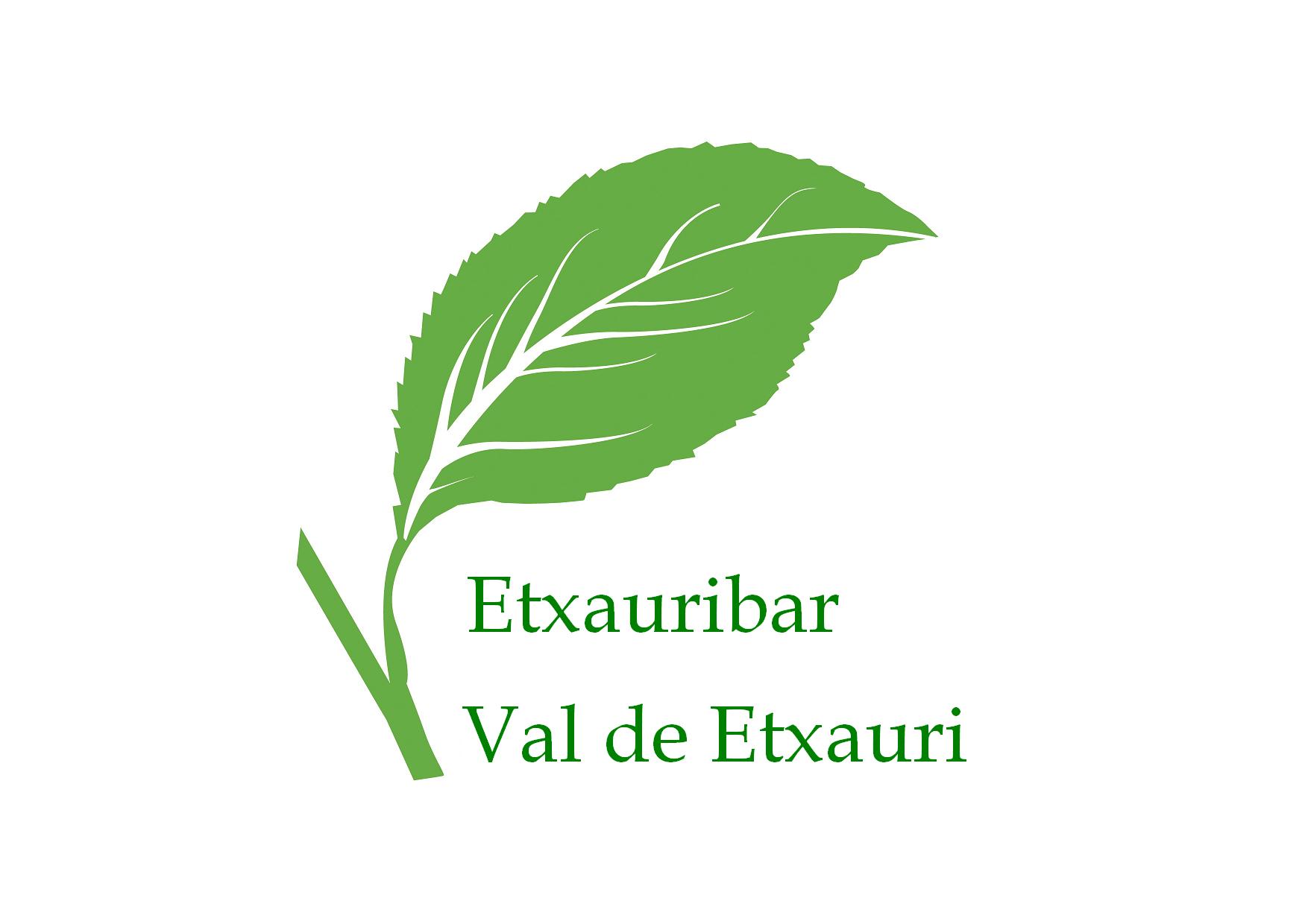 Logo Etxauribar
