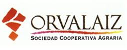 logo Orvalaiz